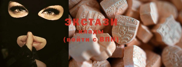 индика Протвино
