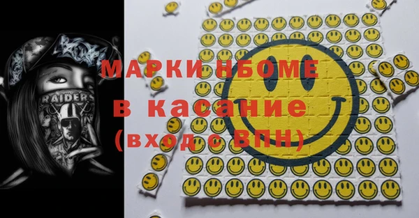 индика Протвино