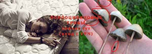 ECSTASY Абаза