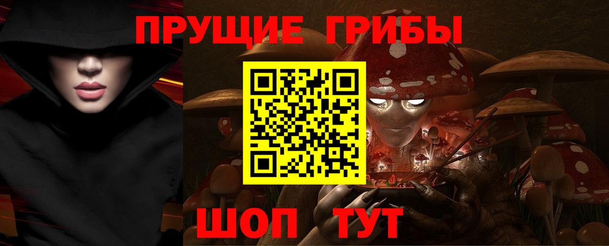 Галлюциногенные грибы Cubensis Кинешма